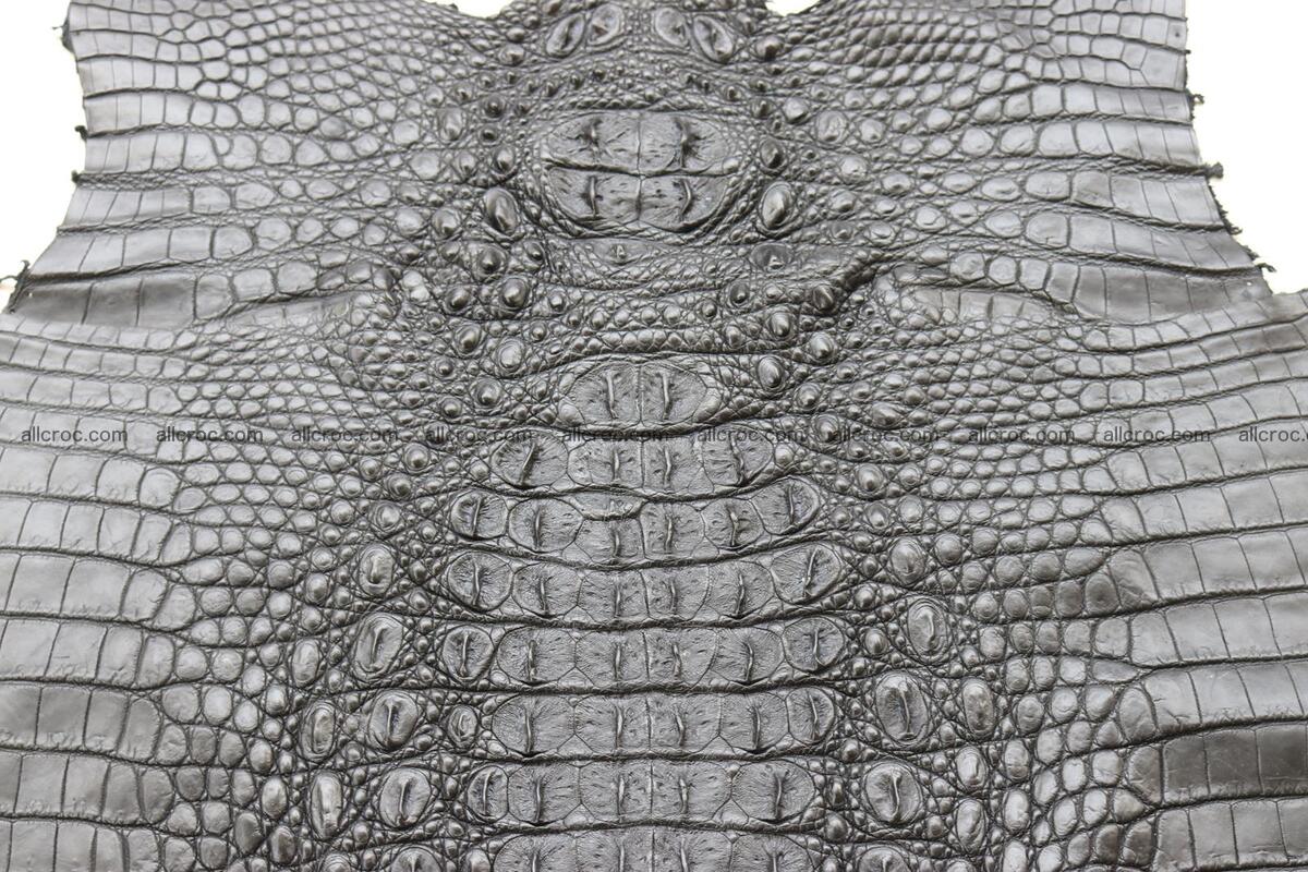 Crocodile skin back part black color 1246 Foto 4