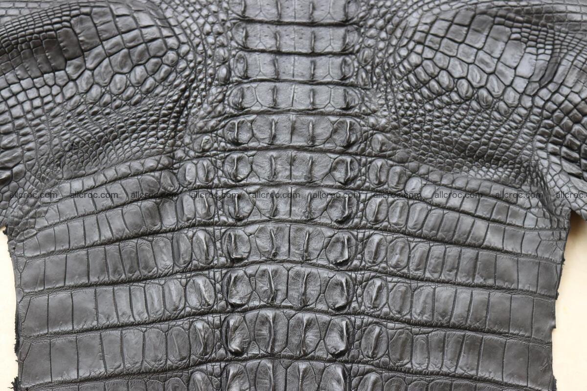 Crocodile skin back part black color 1246 Foto 7