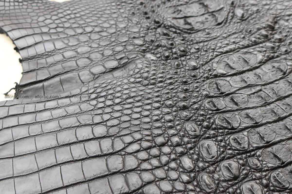 Crocodile skin back part black color 1246 Foto 13