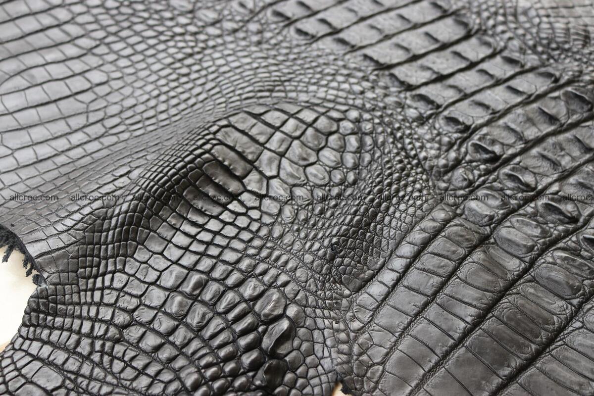 Crocodile skin back part black color 1246 Foto 17