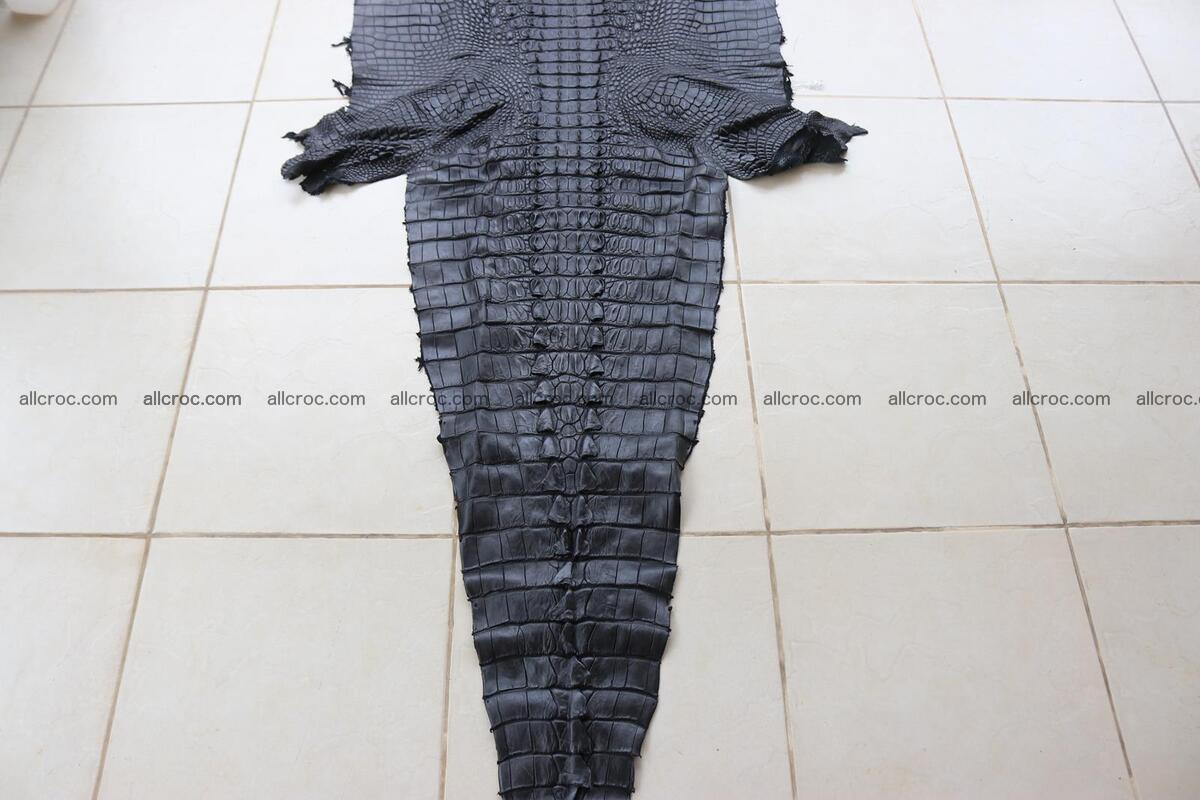 Crocodile skin back part black color 1247 Foto 2