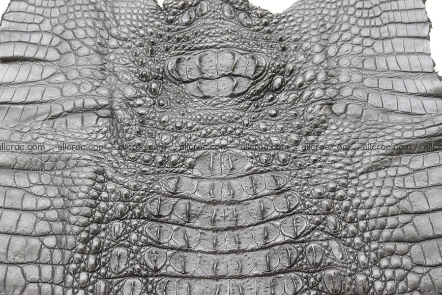 Crocodile skin back part black color 1247