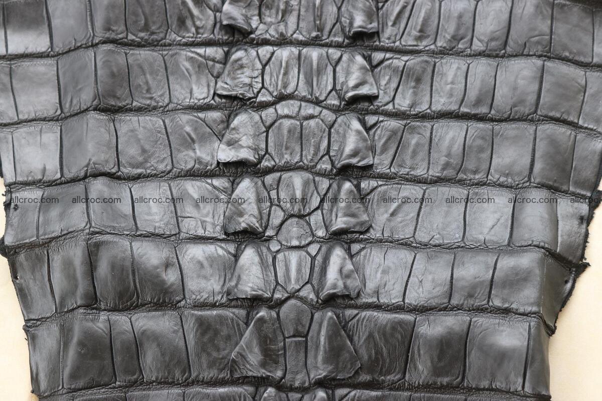 Crocodile skin back part black color 1247 Foto 9