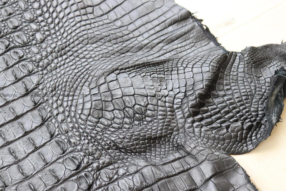 Crocodile skin back part black color 1247 Foto 16