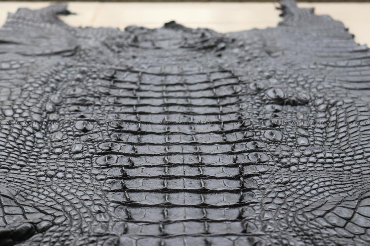 Crocodile skin back part black color 1247 Foto 24