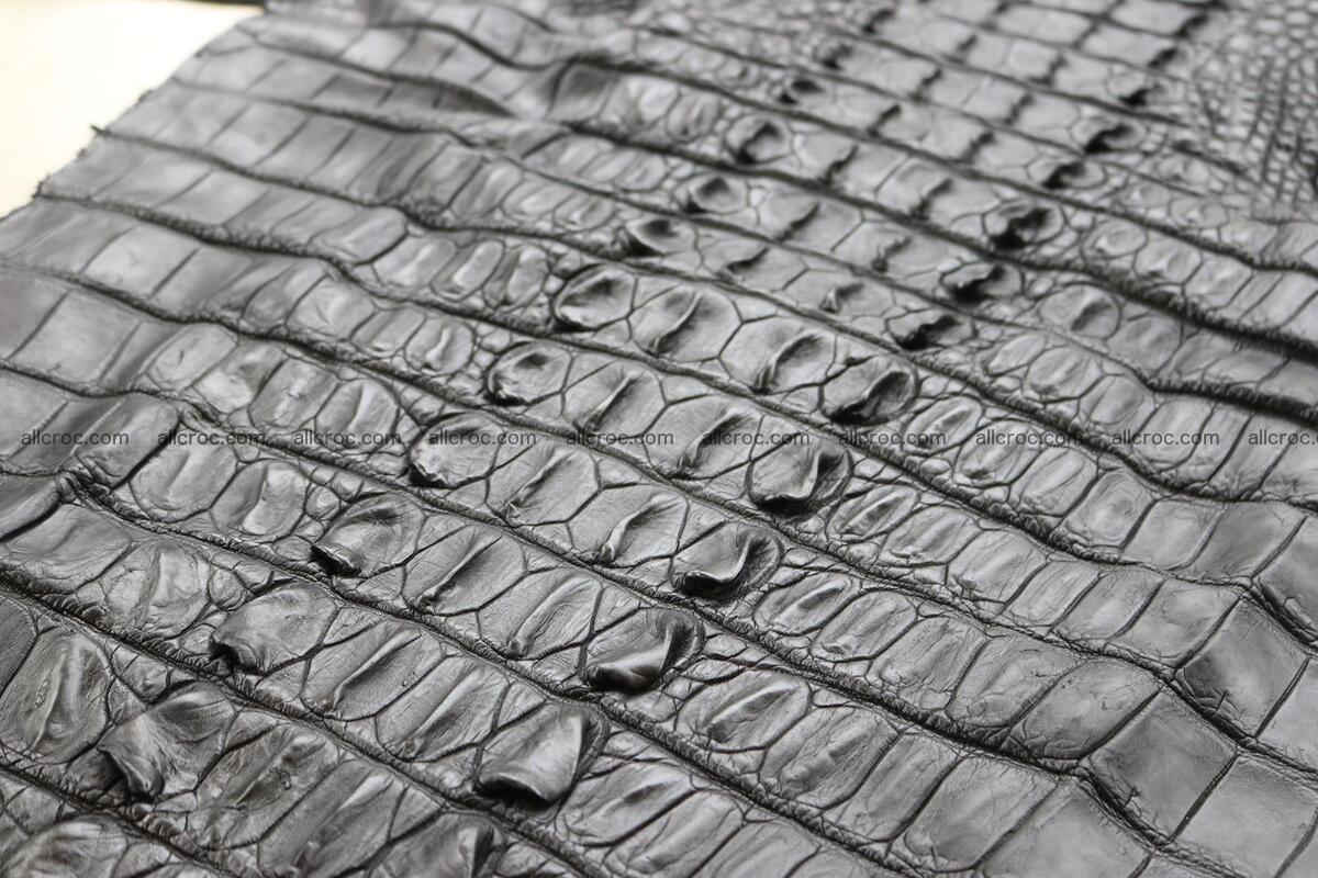 Crocodile skin back part black color 1247 Foto 27