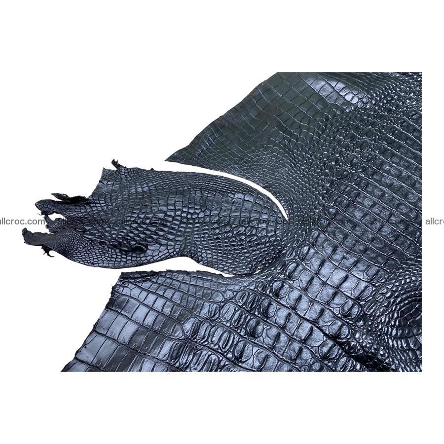Crocodile skin back part black color 1223 Foto 4