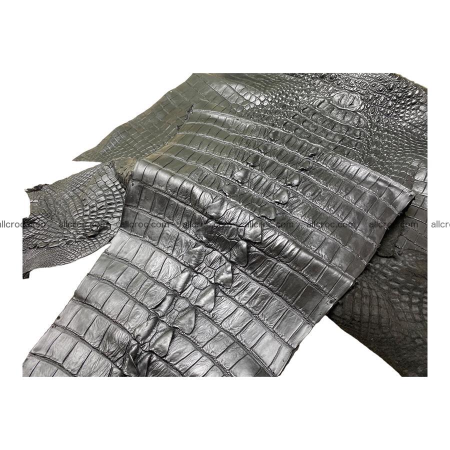Crocodile skin back part black color 1223 Foto 6