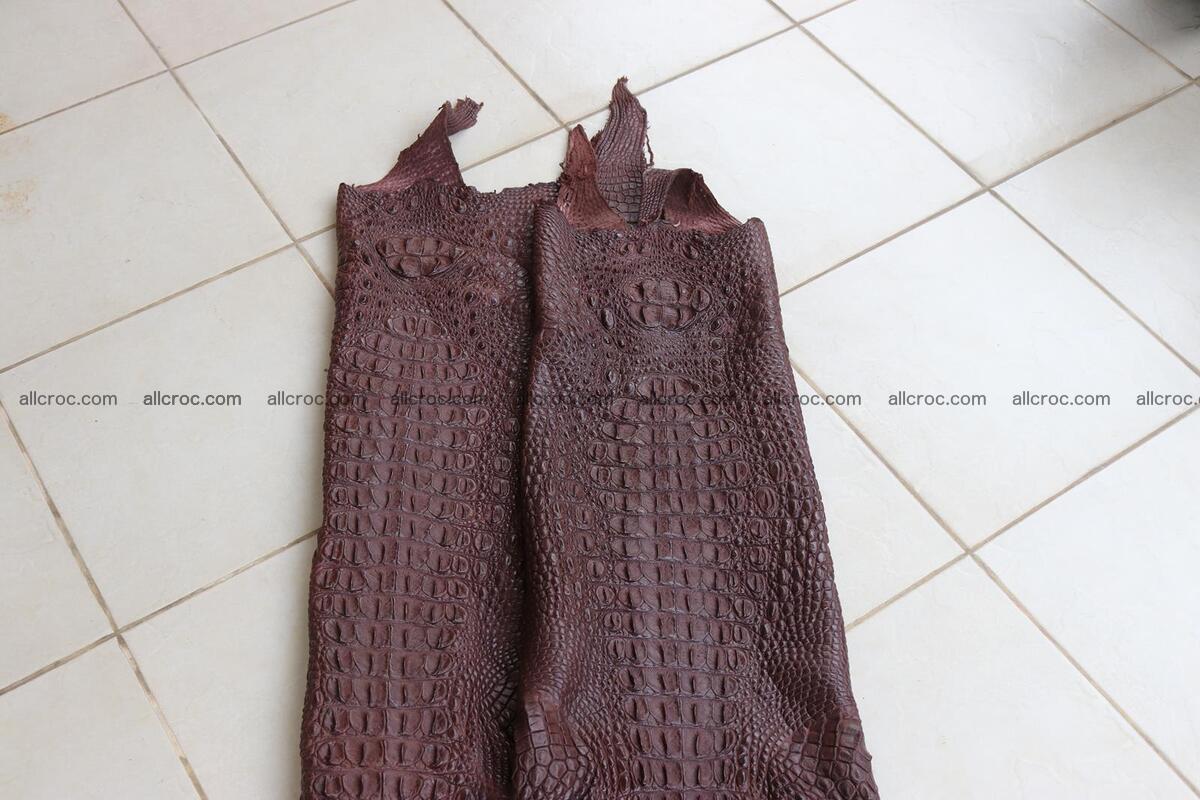 Crocodile skin back part brown color 1237 Foto 16