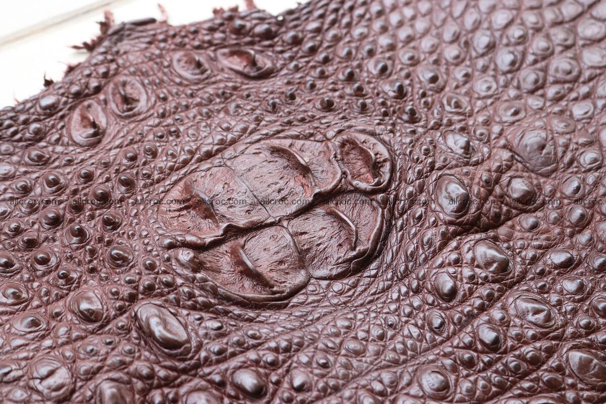 Crocodile skin back part brown color 1237 Foto 6