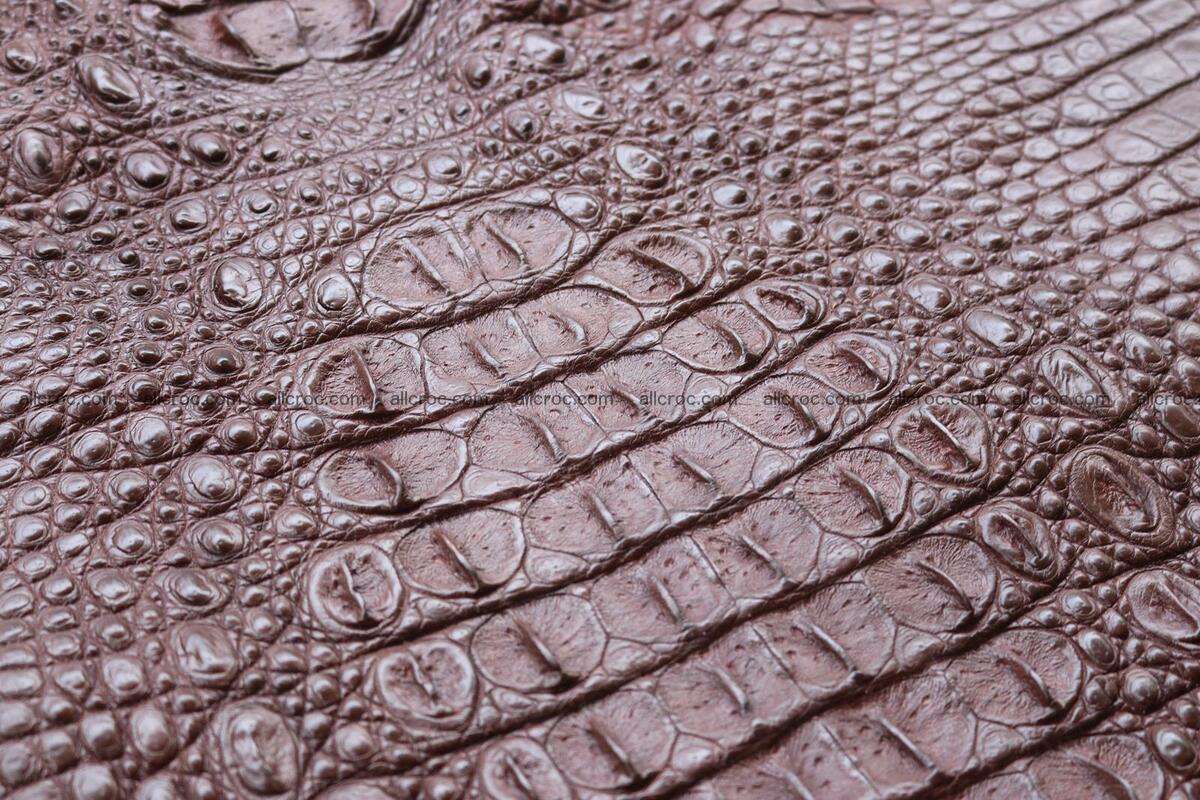 Crocodile skin back part brown color 1237 Foto 7