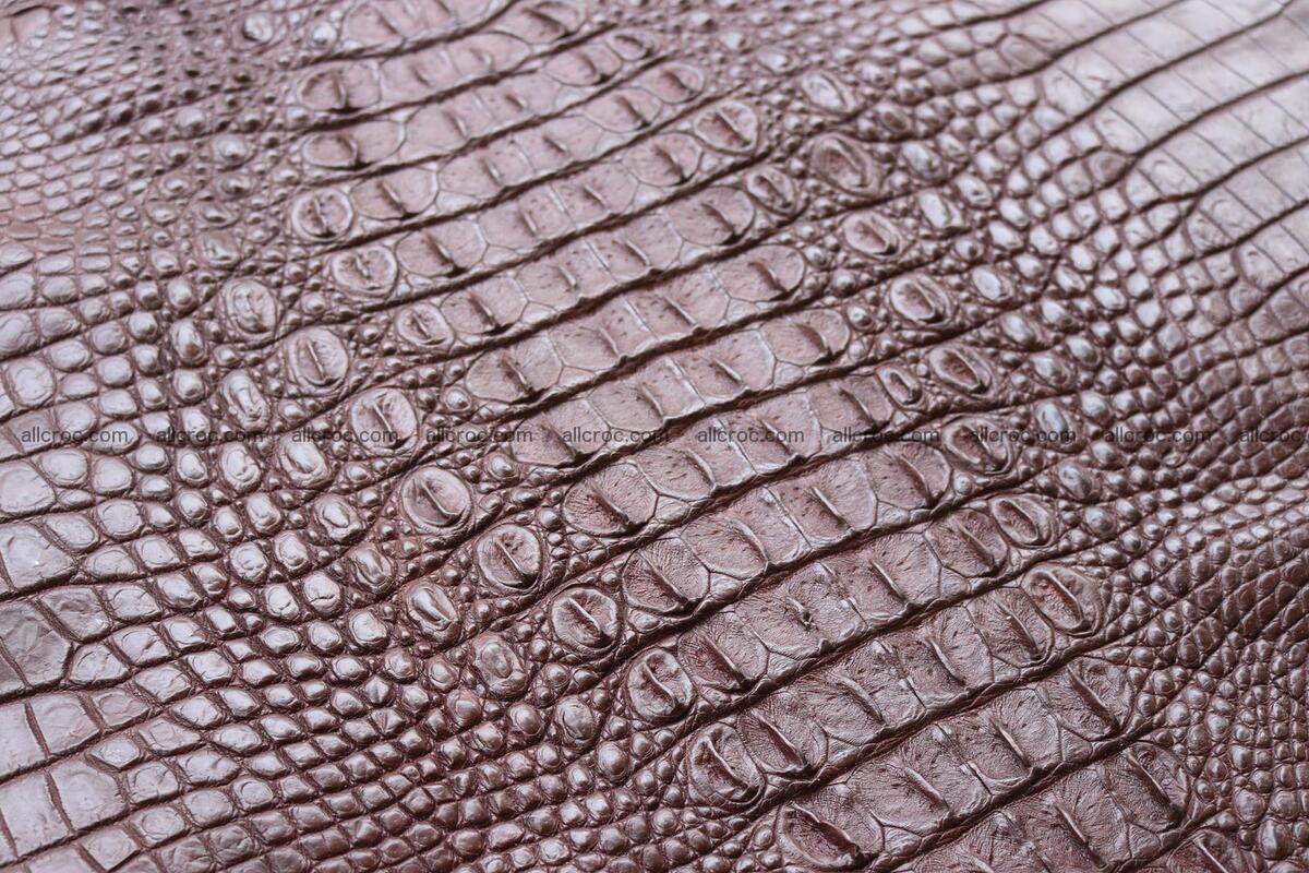 Crocodile skin back part brown color 1237 Foto 8