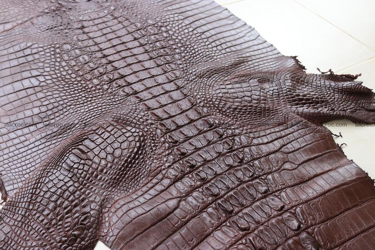 Crocodile skin back part brown color 1237 Foto 3