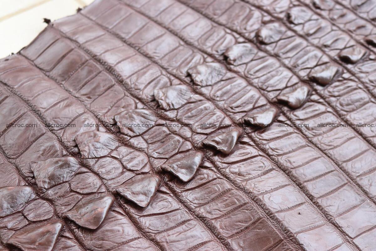Crocodile skin back part brown color 1237 Foto 12