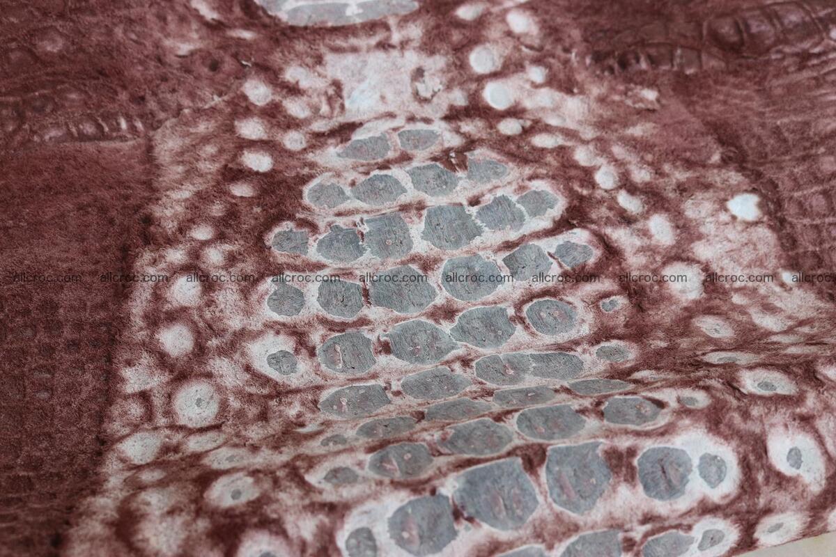 Crocodile skin back part brown color 1238 Foto 16