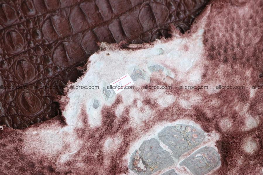 Crocodile skin back part brown color 1237