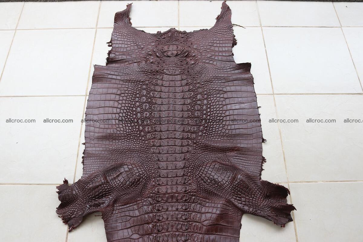 Crocodile skin back part brown color 1238 Foto 0