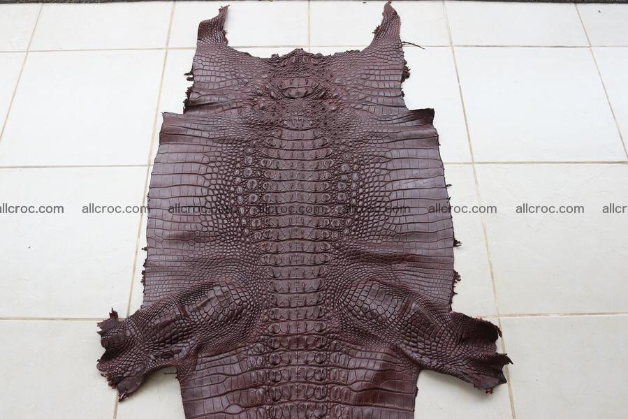 Crocodile skin back part brown color 1238