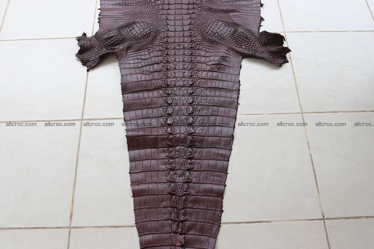 Crocodile skin back part brown color 1238 Foto 4