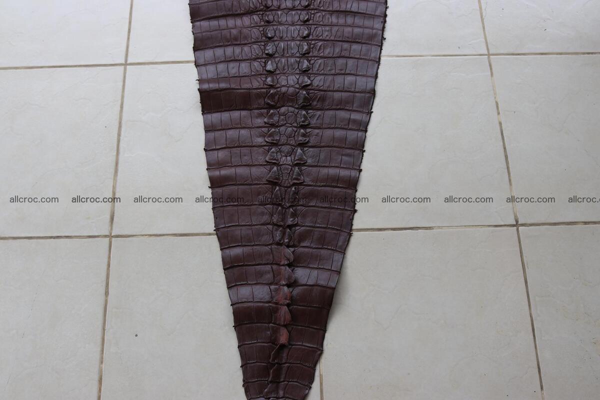 Crocodile skin back part brown color 1238 Foto 5