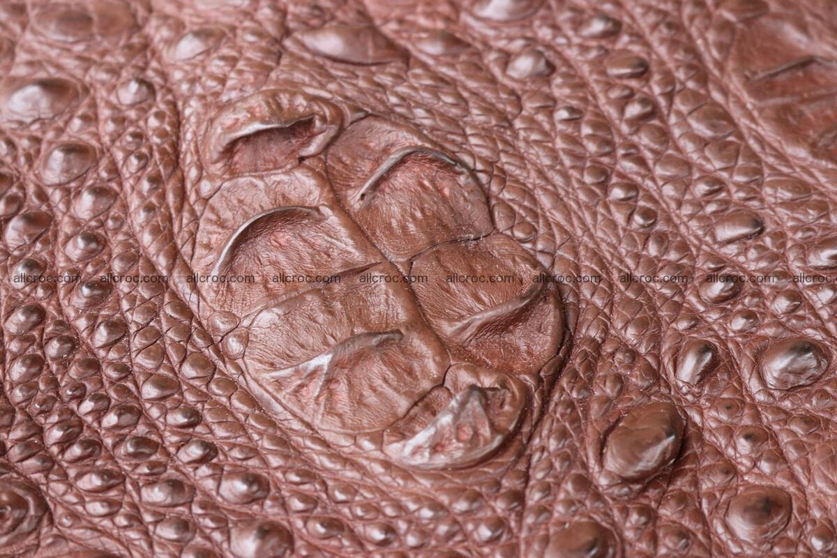 Crocodile skin back part brown color 1238 Foto 12