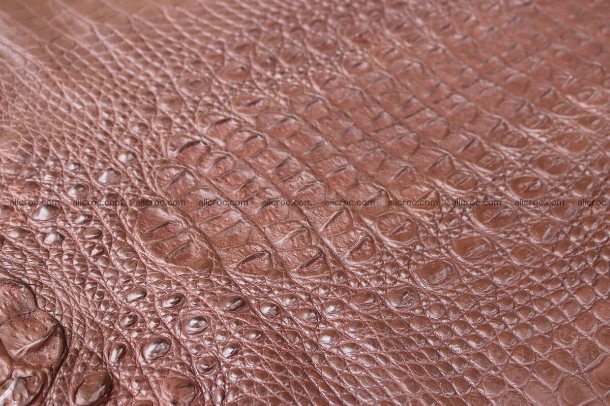 Crocodile skin back part brown color 1238 Foto 13