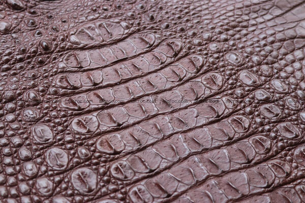 Crocodile skin back part brown color 1238 Foto 7
