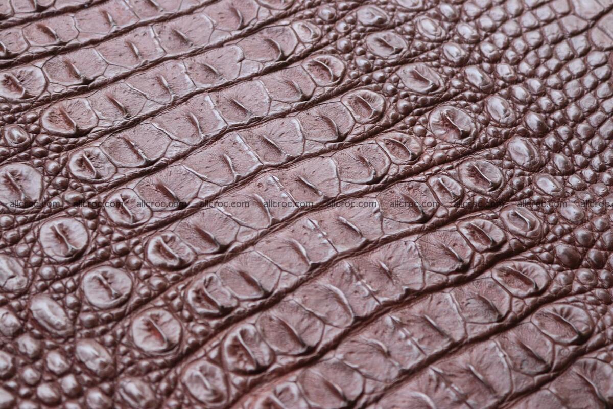Crocodile skin back part brown color 1238 Foto 8