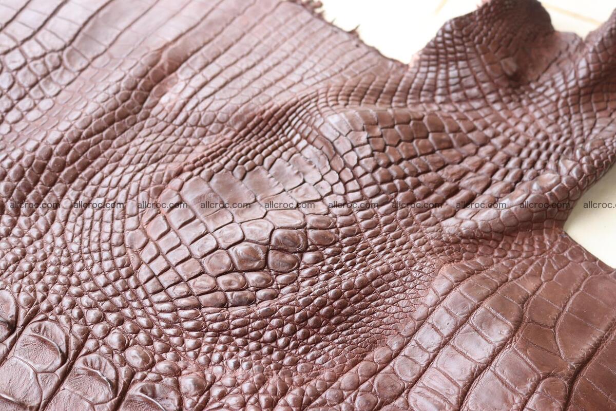 Crocodile skin back part brown color 1238 Foto 14