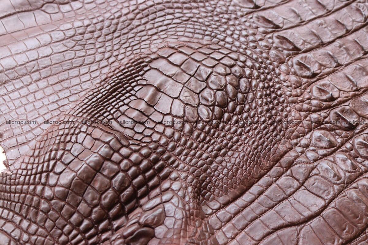 Crocodile skin back part brown color 1238 Foto 10