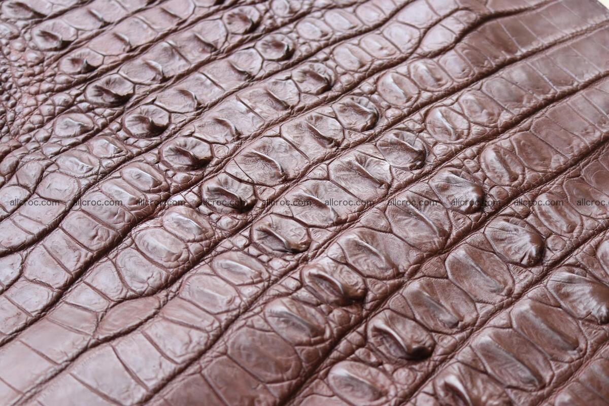 Crocodile skin back part brown color 1238 Foto 9