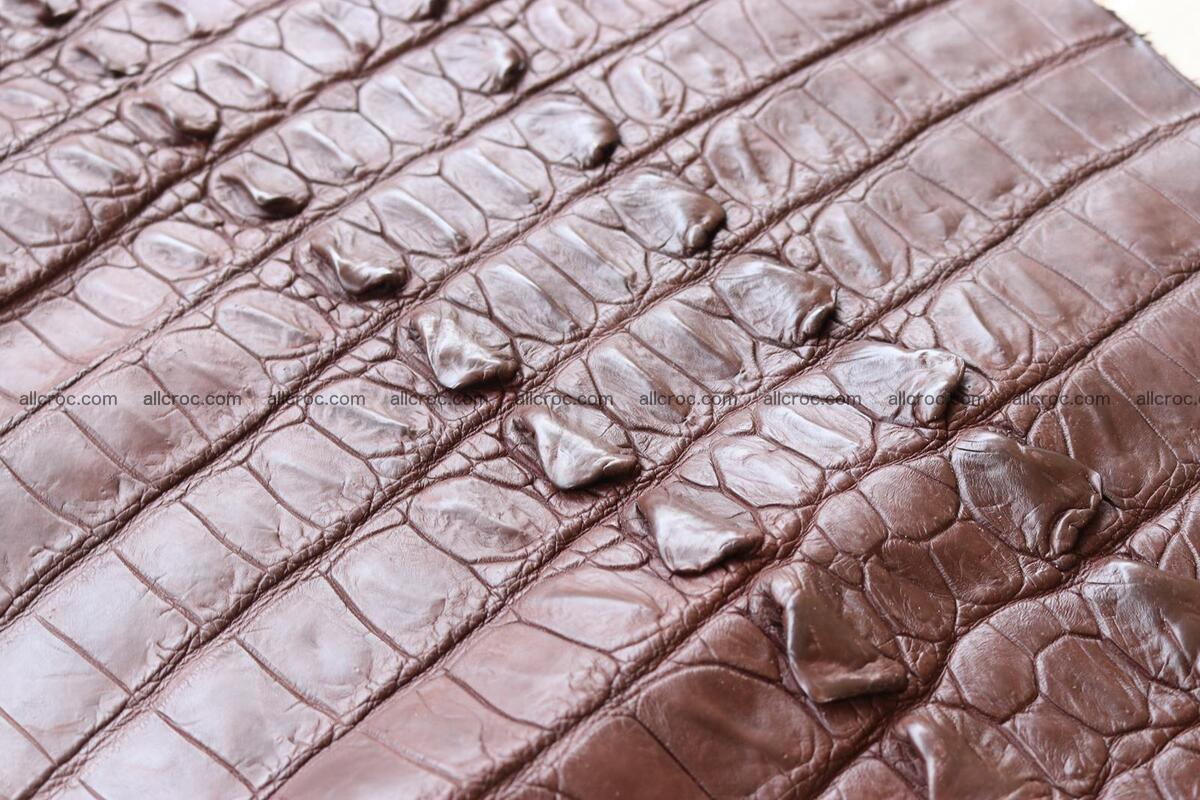 Crocodile skin back part brown color 1238 Foto 11