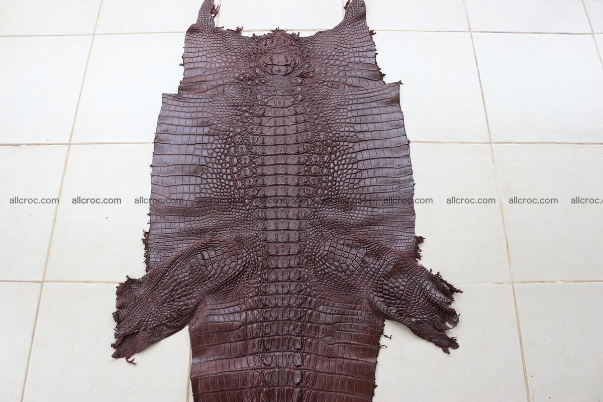 Crocodile skin back part brown color 1237 Foto 0