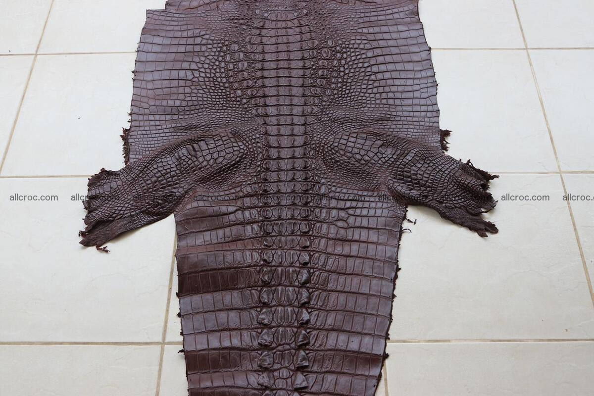 Crocodile skin back part brown color 1237 Foto 1