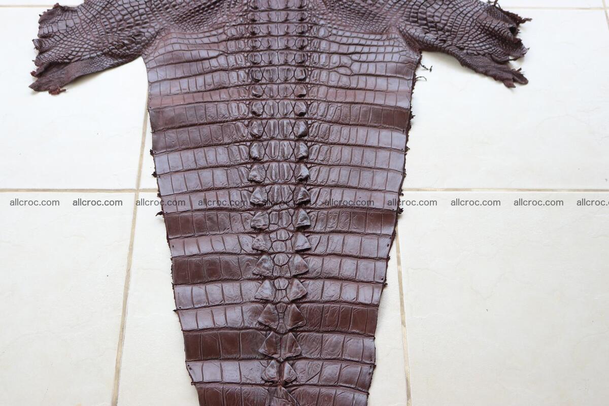 Crocodile skin back part brown color 1237 Foto 4
