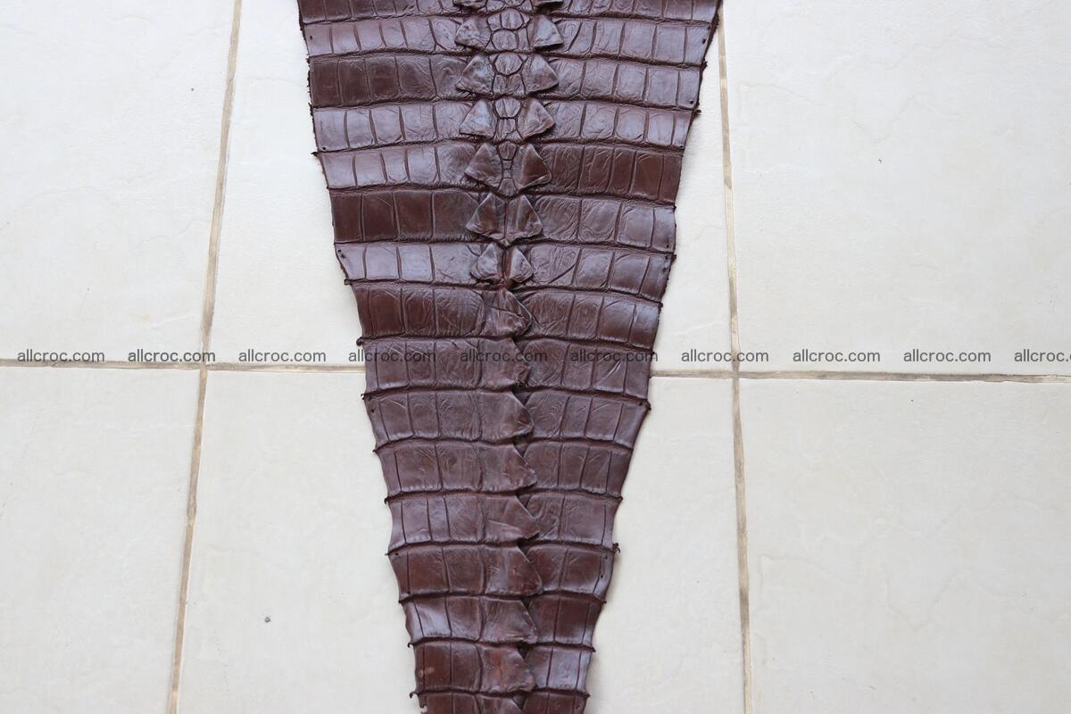 Crocodile skin back part brown color 1237 Foto 5