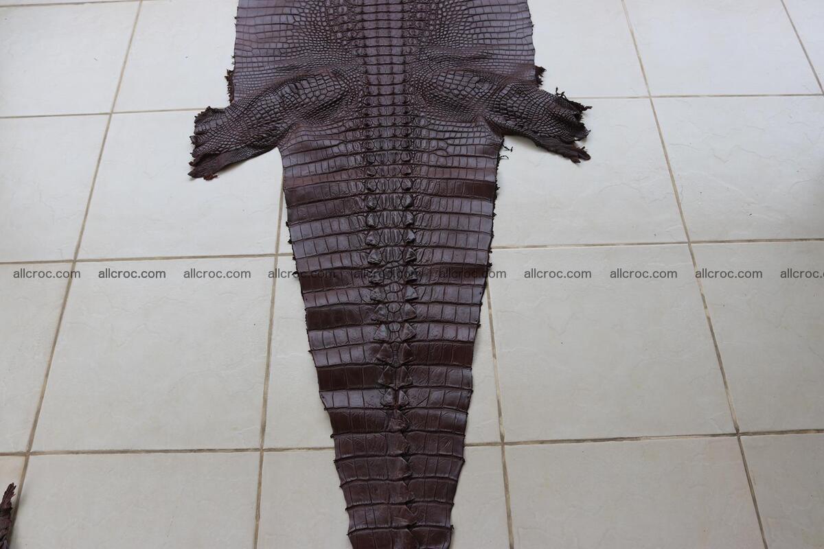 Crocodile skin back part brown color 1237 Foto 2