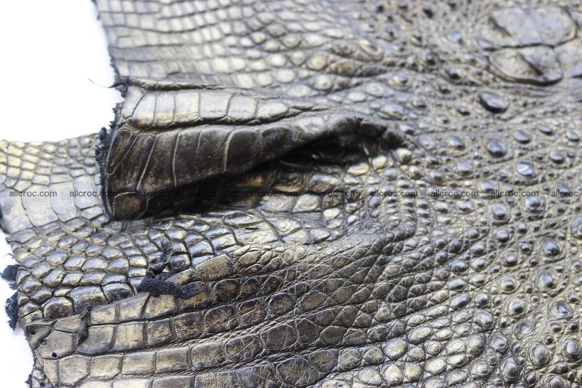 Crocodile skin back part brush off effect gold color 1244 Foto 4