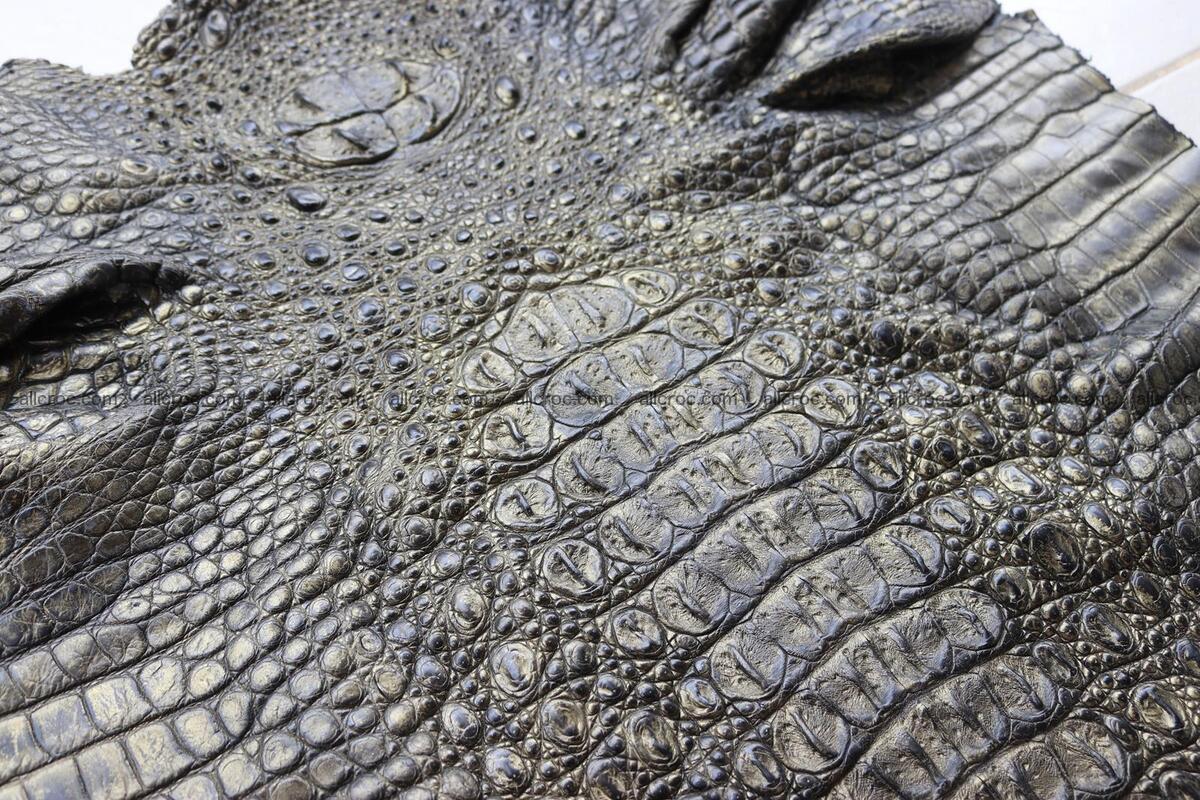 Crocodile skin back part brush off effect gold color 1244 Foto 5