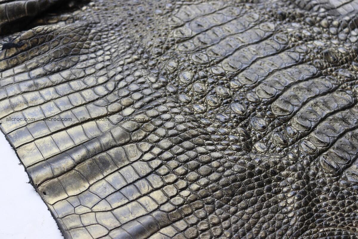 Crocodile skin back part brush off effect gold color 1244 Foto 6