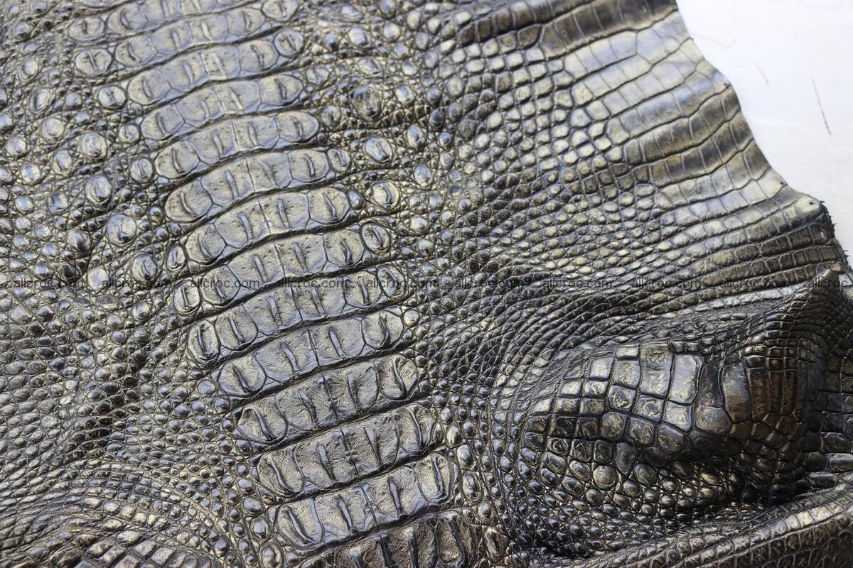 Crocodile skin back part brush off effect gold color 1244 Foto 7
