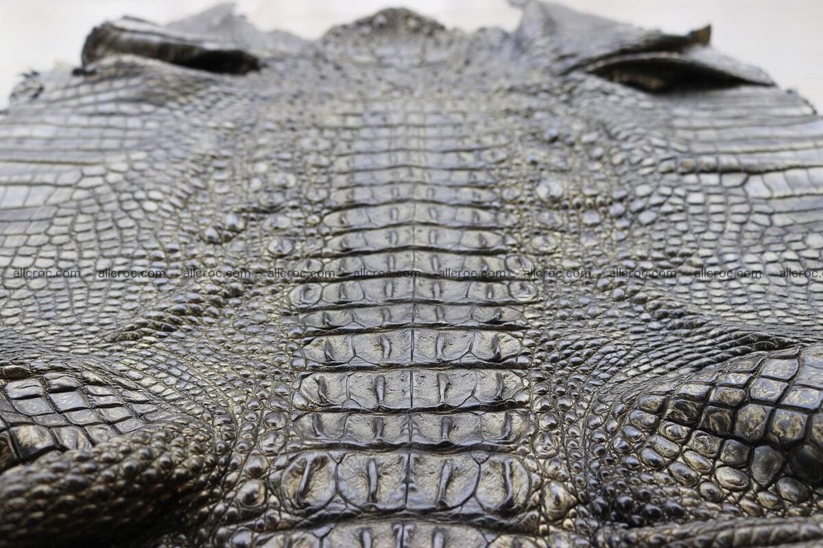 Crocodile skin back part brush off effect gold color 1244 Foto 10
