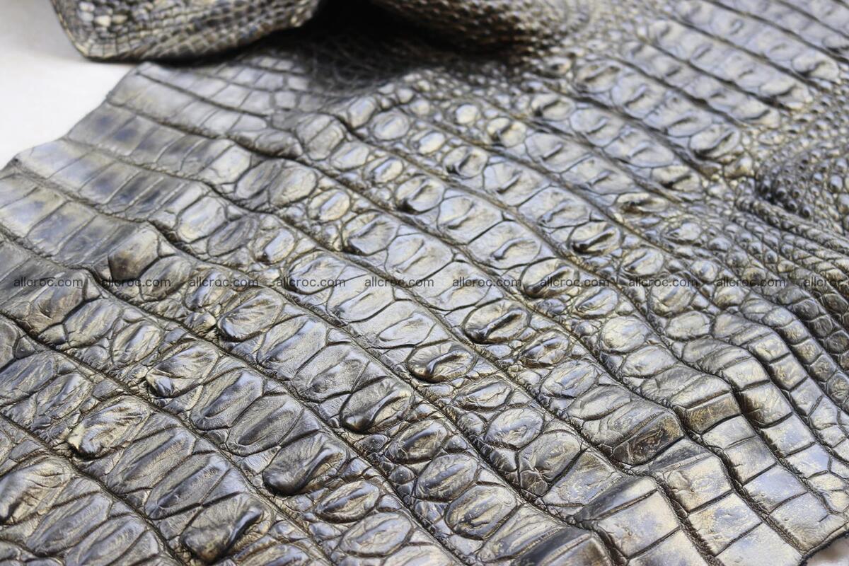 Crocodile skin back part brush off effect gold color 1244 Foto 11