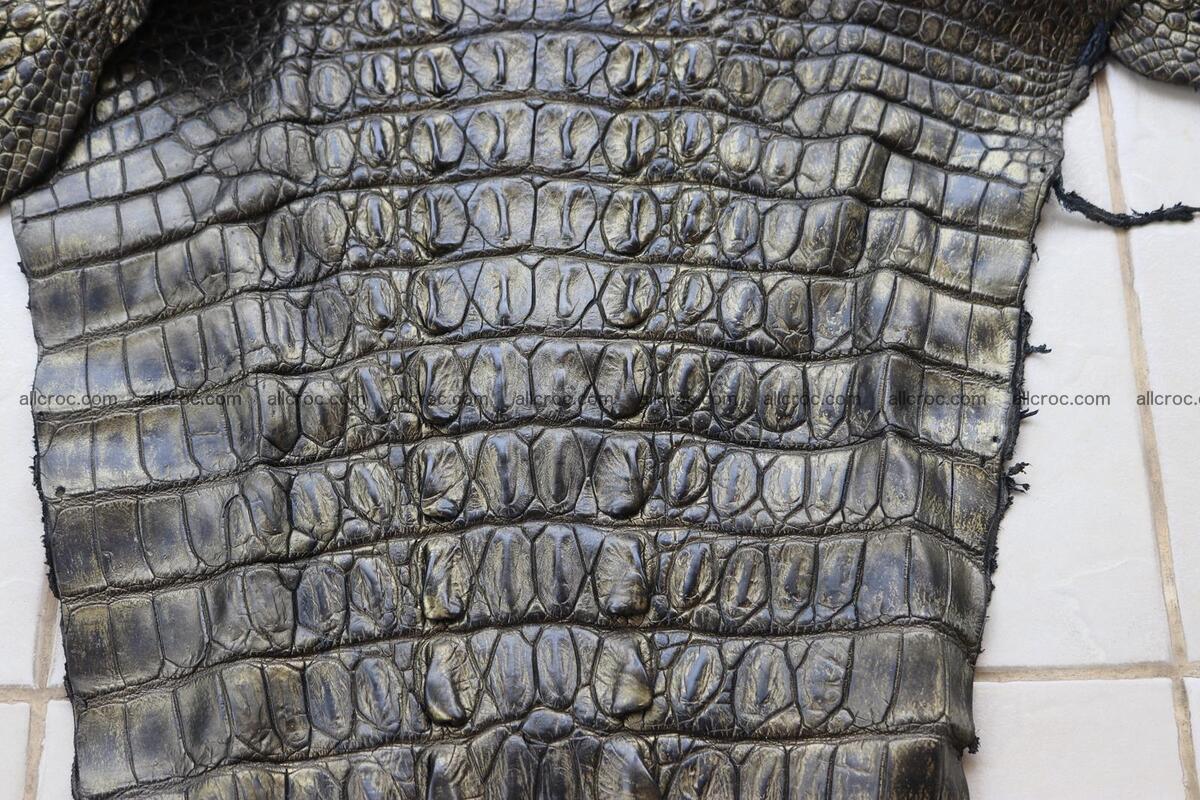 Crocodile skin back part brush off effect gold color 1244 Foto 12