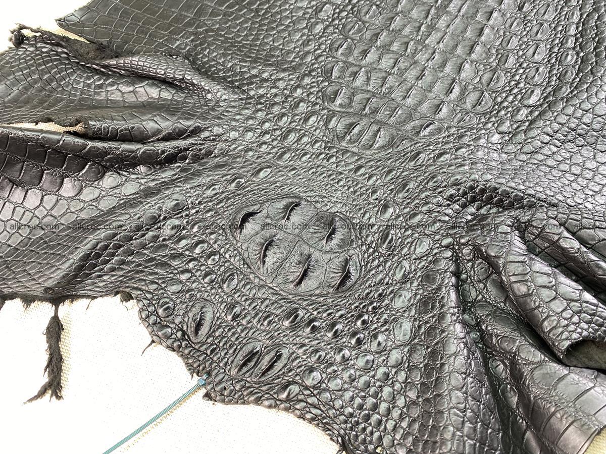 Crocodile skin back part 52cm black color 1528 Foto 2