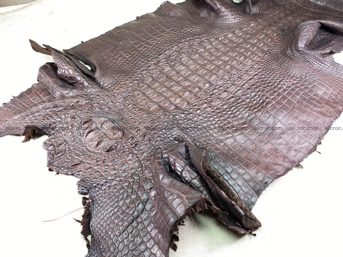 Crocodile skin back part  62cm brown color 1527 Foto 1