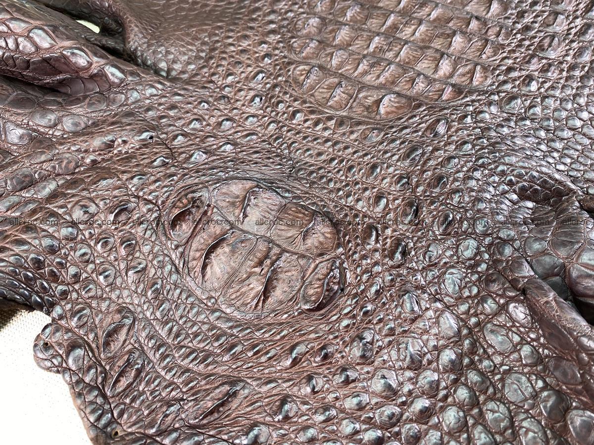 Crocodile skin back part  62cm brown color 1527 Foto 0