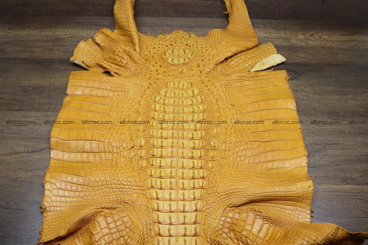 Crocodile skin back part light brown color 1234 Foto 0