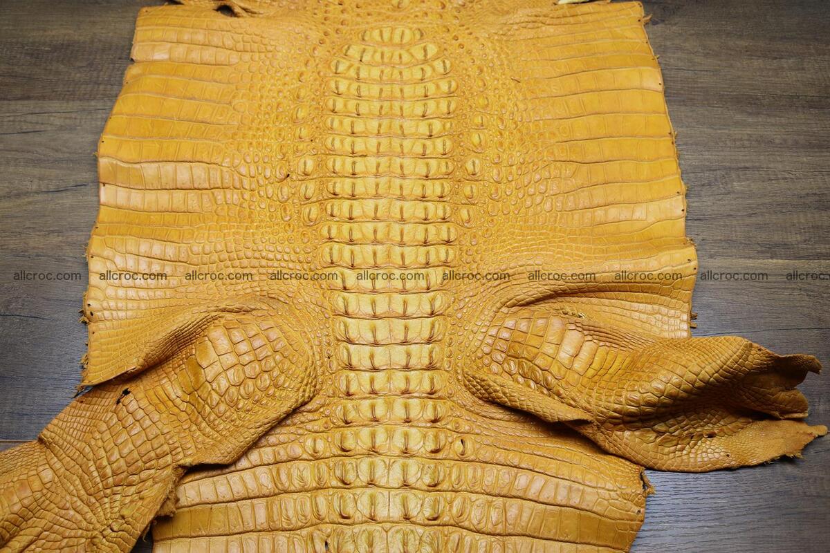 Crocodile skin back part light brown color 1234 Foto 1