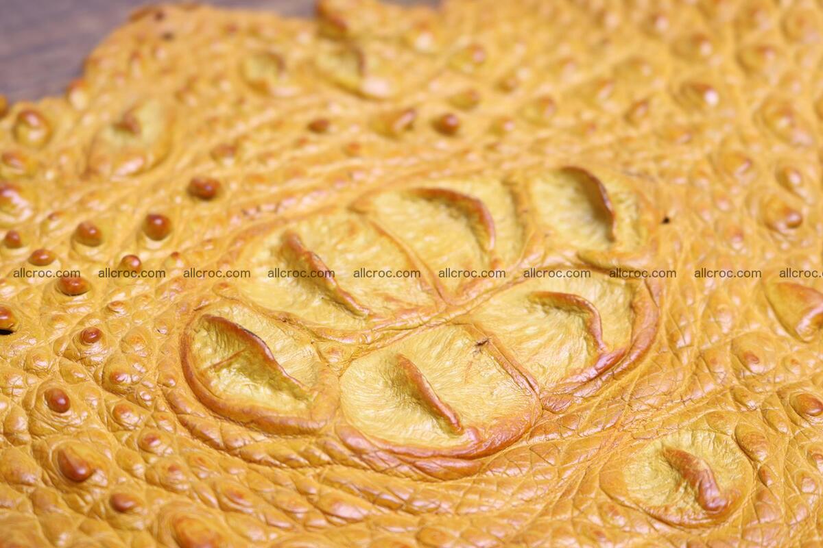 Crocodile skin back part light brown color 1234 Foto 6